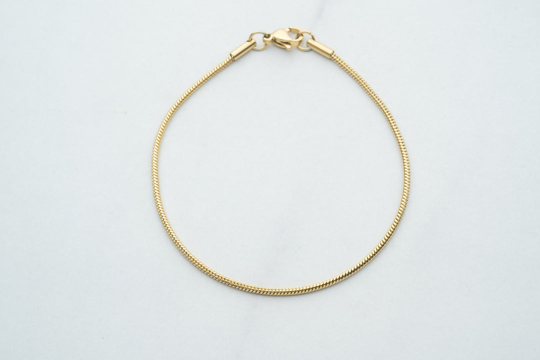 Gold Chain and SNAKE Bracelet